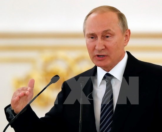 Russian President seeks better ties with Germany - ảnh 1